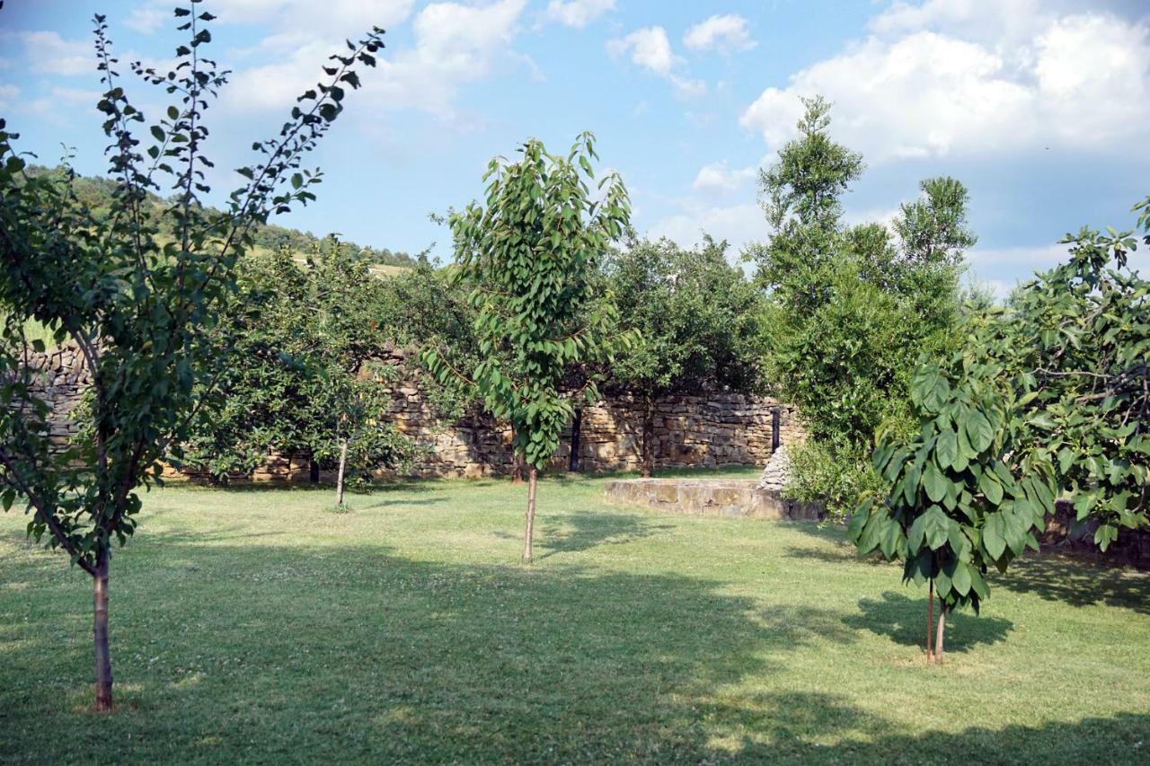 Tourist Farm With Apartments Fig Tree Dekani Extérieur photo